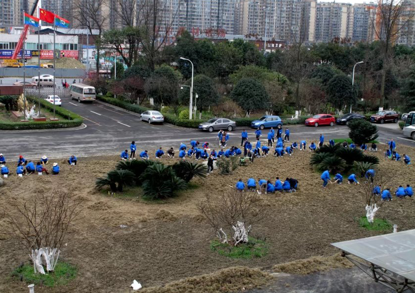 PG电子大家庭齐心协力清除旧草皮