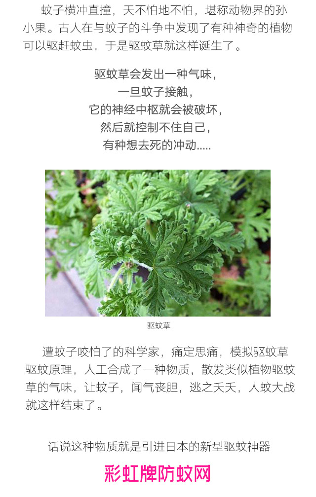 隐形蚊帐——PG电子防蚊网